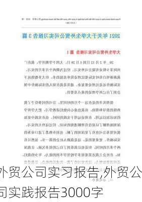 外贸公司实习报告,外贸公司实践报告3000字-第2张图片-星梦范文网