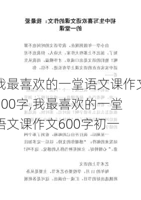 我最喜欢的一堂语文课作文600字,我最喜欢的一堂语文课作文600字初一-第2张图片-星梦范文网