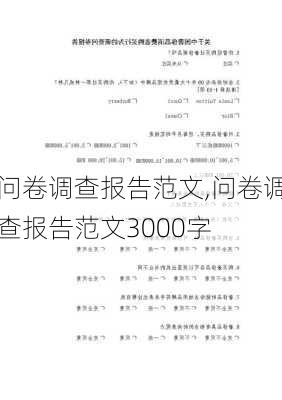 问卷调查报告范文,问卷调查报告范文3000字-第3张图片-星梦范文网