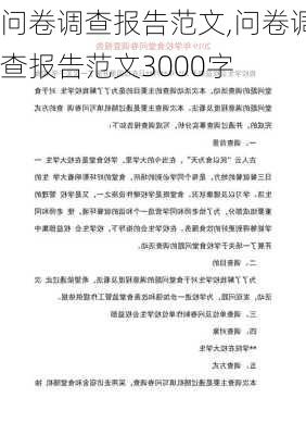 问卷调查报告范文,问卷调查报告范文3000字-第2张图片-星梦范文网