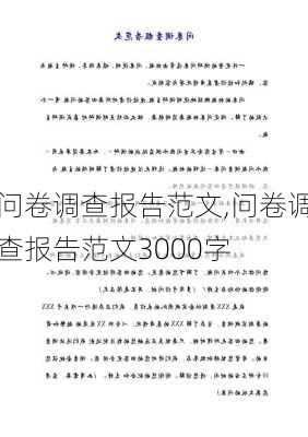 问卷调查报告范文,问卷调查报告范文3000字