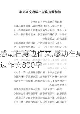 感动在身边作文,感动在身边作文800字-第1张图片-星梦范文网