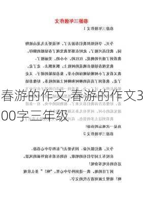 春游的作文,春游的作文300字三年级-第2张图片-星梦范文网