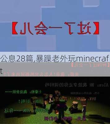 公息28篇,暴躁老外玩minecraft-第2张图片-星梦范文网