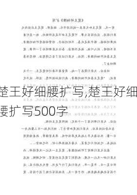 楚王好细腰扩写,楚王好细腰扩写500字-第3张图片-星梦范文网