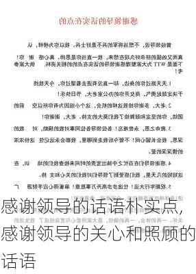 感谢领导的话语朴实点,感谢领导的关心和照顾的话语-第2张图片-星梦范文网