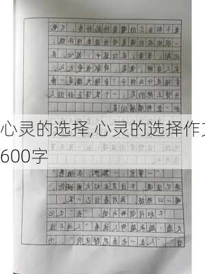 心灵的选择,心灵的选择作文600字