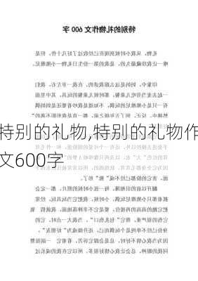 特别的礼物,特别的礼物作文600字-第3张图片-星梦范文网