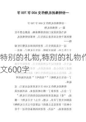 特别的礼物,特别的礼物作文600字-第2张图片-星梦范文网