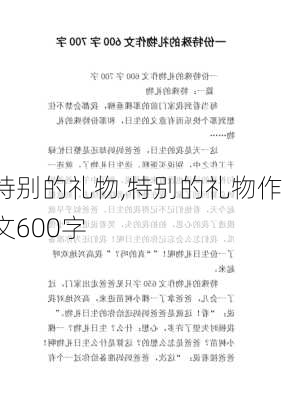 特别的礼物,特别的礼物作文600字-第2张图片-星梦范文网