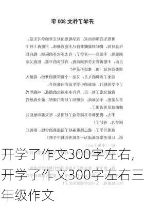 开学了作文300字左右,开学了作文300字左右三年级作文-第2张图片-星梦范文网