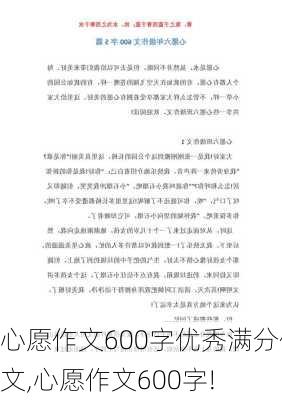 心愿作文600字优秀满分作文,心愿作文600字!