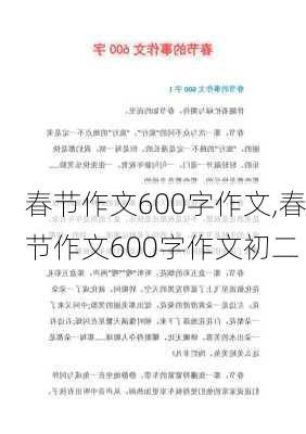 春节作文600字作文,春节作文600字作文初二-第1张图片-星梦范文网