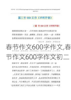 春节作文600字作文,春节作文600字作文初二-第2张图片-星梦范文网