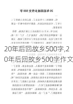 20年后回故乡500字,20年后回故乡500字作文-第2张图片-星梦范文网