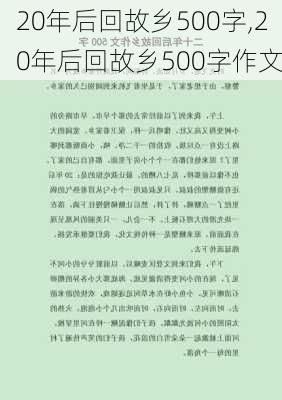 20年后回故乡500字,20年后回故乡500字作文-第3张图片-星梦范文网