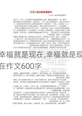 幸福就是现在,幸福就是现在作文600字-第3张图片-星梦范文网