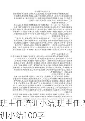 班主任培训小结,班主任培训小结100字-第3张图片-星梦范文网