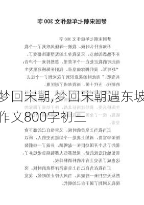 梦回宋朝,梦回宋朝遇东坡作文800字初三-第1张图片-星梦范文网