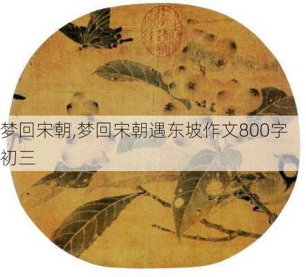 梦回宋朝,梦回宋朝遇东坡作文800字初三-第3张图片-星梦范文网