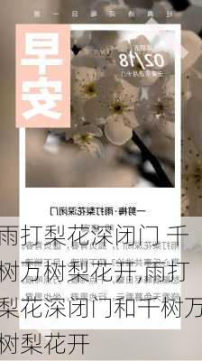 雨打梨花深闭门 千树万树梨花开,雨打梨花深闭门和千树万树梨花开-第3张图片-星梦范文网