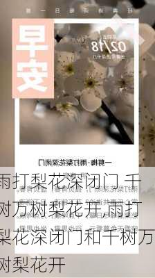 雨打梨花深闭门 千树万树梨花开,雨打梨花深闭门和千树万树梨花开-第3张图片-星梦范文网