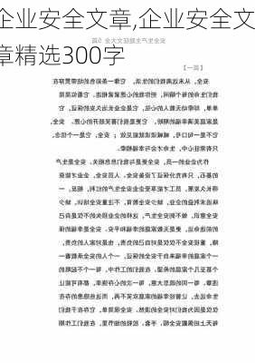 企业安全文章,企业安全文章精选300字-第2张图片-星梦范文网