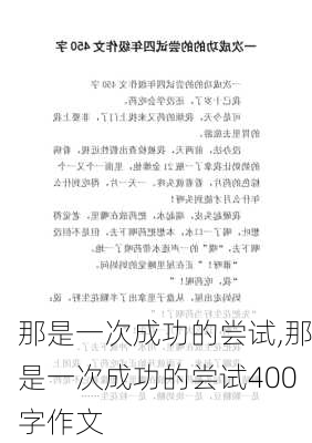 那是一次成功的尝试,那是一次成功的尝试400字作文-第2张图片-星梦范文网