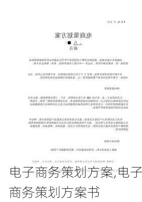 电子商务策划方案,电子商务策划方案书