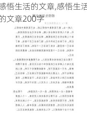 感悟生活的文章,感悟生活的文章200字-第3张图片-星梦范文网