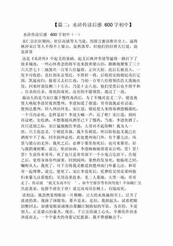 我眼中的林冲,我眼中的林冲作文600字