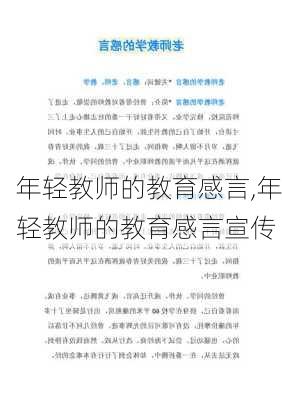 年轻教师的教育感言,年轻教师的教育感言宣传-第2张图片-星梦范文网