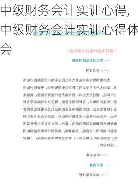 中级财务会计实训心得,中级财务会计实训心得体会