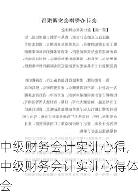 中级财务会计实训心得,中级财务会计实训心得体会-第3张图片-星梦范文网