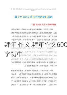 拜年 作文,拜年作文600字初中-第2张图片-星梦范文网