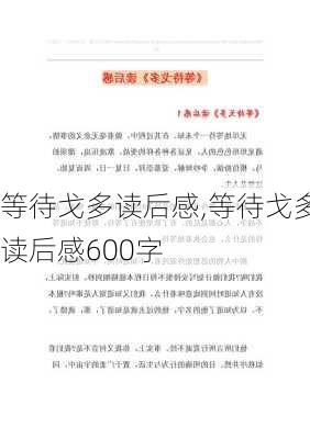 等待戈多读后感,等待戈多读后感600字