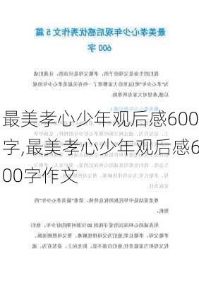 最美孝心少年观后感600字,最美孝心少年观后感600字作文-第2张图片-星梦范文网