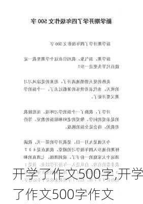 开学了作文500字,开学了作文500字作文-第2张图片-星梦范文网