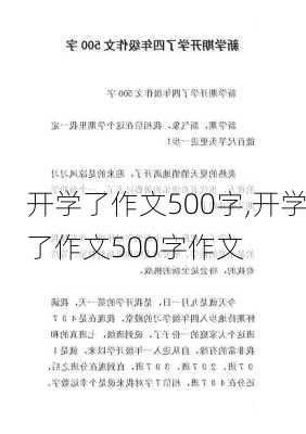 开学了作文500字,开学了作文500字作文-第2张图片-星梦范文网