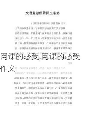 网课的感受,网课的感受作文