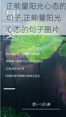 正能量阳光心态的句子,正能量阳光心态的句子图片-第3张图片-星梦范文网