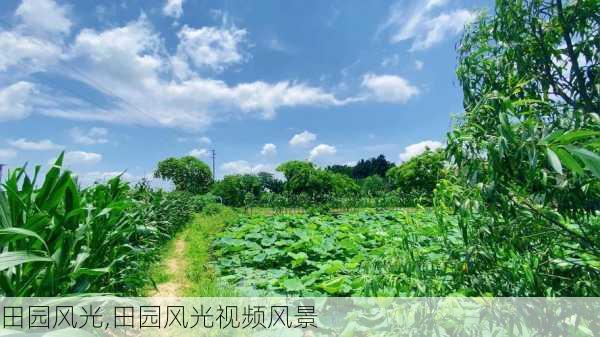 田园风光,田园风光视频风景