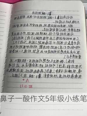 鼻子一酸作文5年级小练笔,