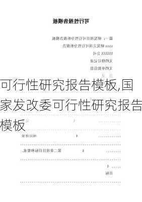 可行性研究报告模板,国家发改委可行性研究报告模板-第3张图片-星梦范文网