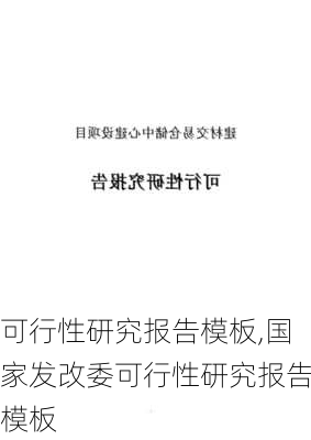 可行性研究报告模板,国家发改委可行性研究报告模板-第2张图片-星梦范文网