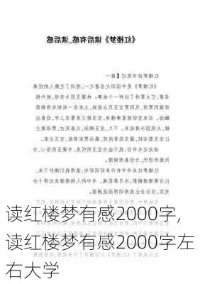 读红楼梦有感2000字,读红楼梦有感2000字左右大学-第2张图片-星梦范文网