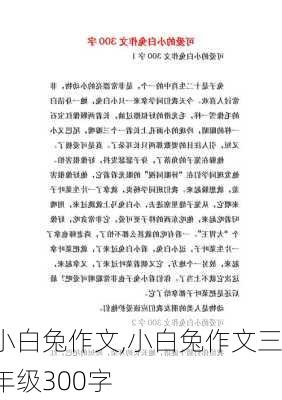 小白兔作文,小白兔作文三年级300字-第2张图片-星梦范文网