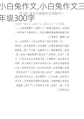 小白兔作文,小白兔作文三年级300字-第3张图片-星梦范文网