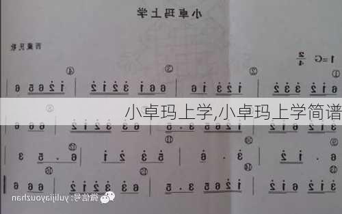 小卓玛上学,小卓玛上学简谱