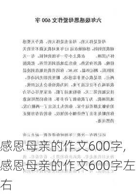 感恩母亲的作文600字,感恩母亲的作文600字左右-第2张图片-星梦范文网